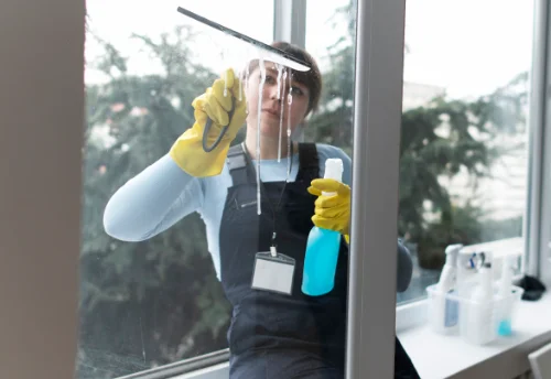 Nettoyage de vitres intérieures et extérieures à Landudec